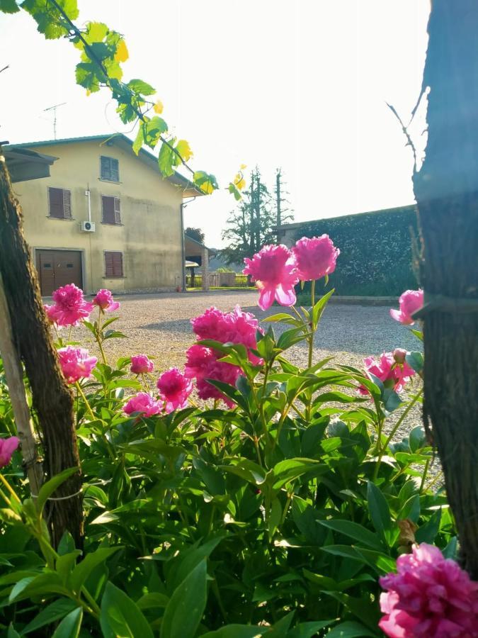 Corte Ohana Monteforte d'Alpone Екстер'єр фото