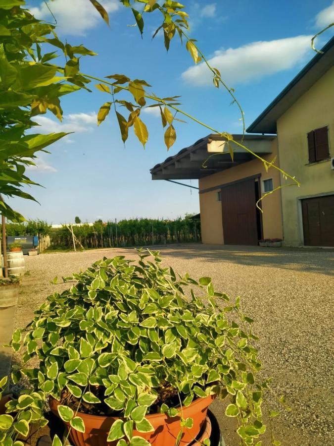 Corte Ohana Monteforte d'Alpone Екстер'єр фото