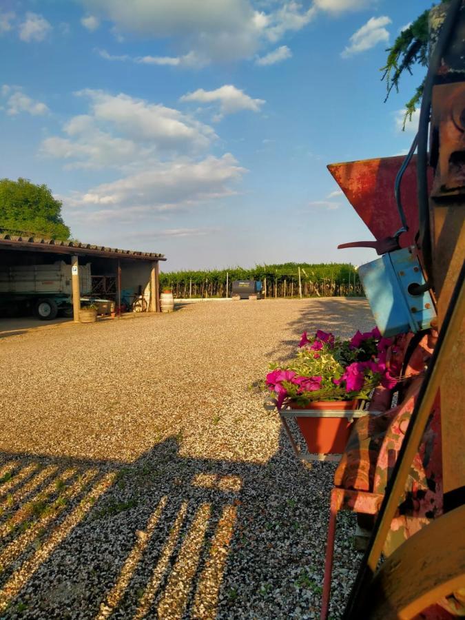 Corte Ohana Monteforte d'Alpone Екстер'єр фото